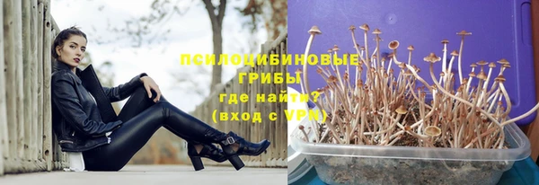 mix Богородицк