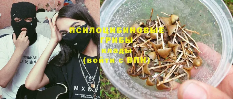 сколько стоит  Райчихинск  Галлюциногенные грибы Magic Shrooms 